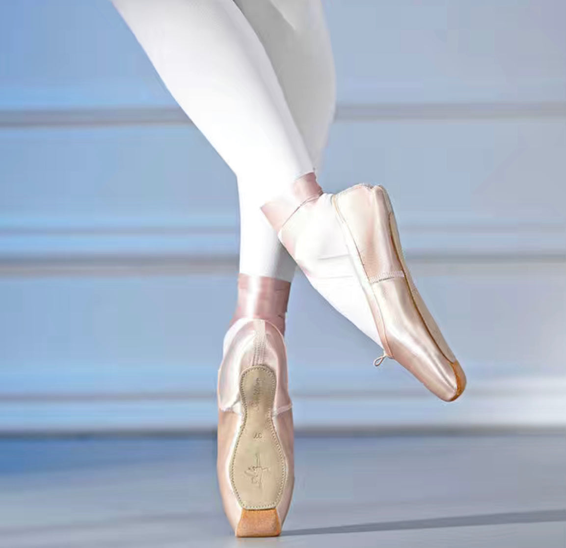 Silk Ballet Shoes