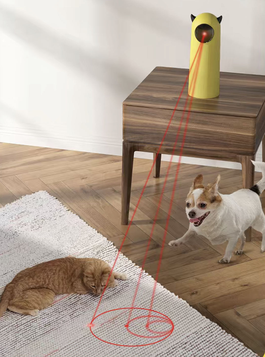 Automatic Laser Light Cat/Dog Toy /No Battery